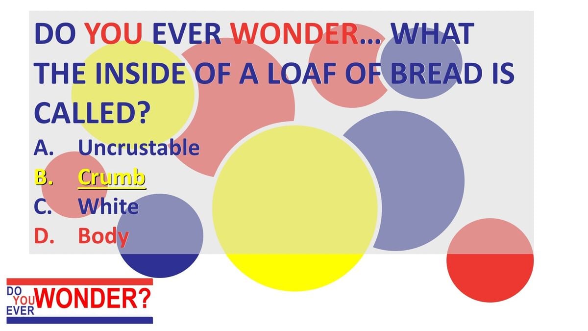Do You Ever Wonder Bread Trivia image number null
