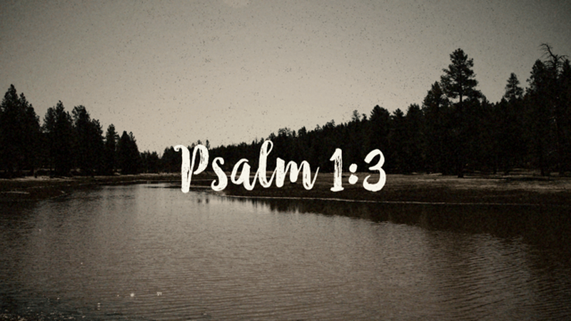 Psalm 1:3 Video
