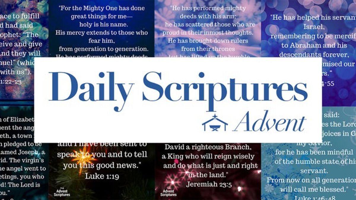 Daily Advent Scripture - Volume II [Social Media  Package] image number null