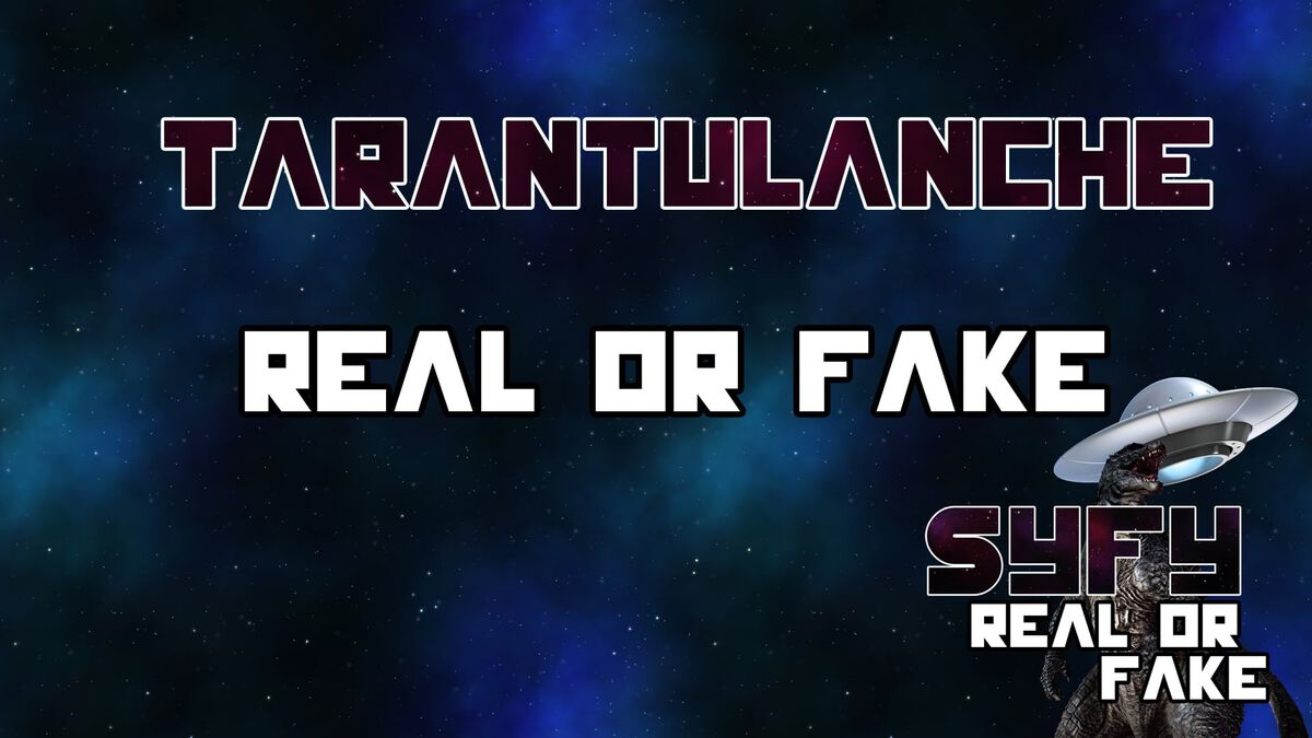 Syfy Real or Fake image number null