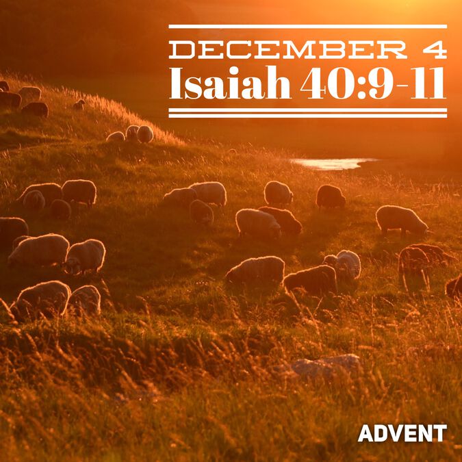 Insta-Advent image number null