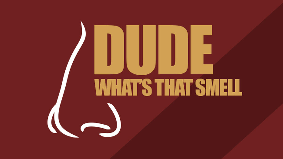 Dude, What’s that Smell? Volume 1 image number null