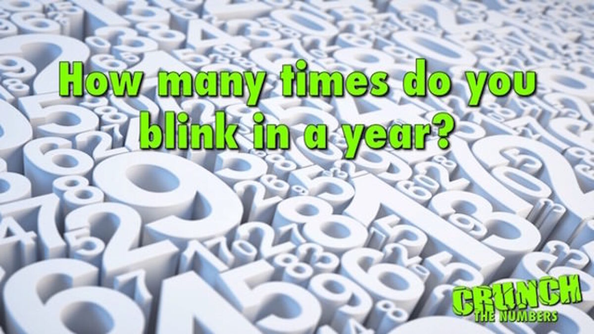 Crunch The Numbers image number null