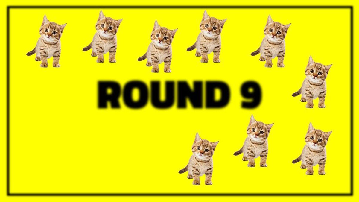 Furry Blurry image number null