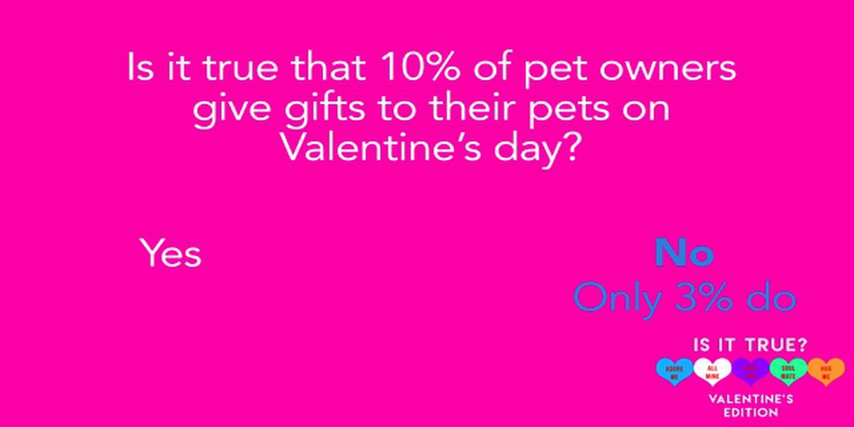 Is it True? Valentine's Edition image number null