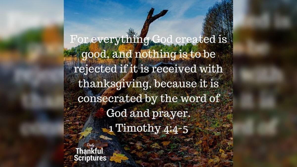 Daily Thankful Scriptures - 31 Day Social Media Package image number null