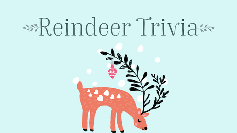 Reindeer Trivia