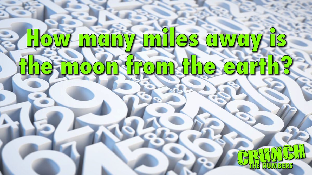 Crunch The Numbers image number null