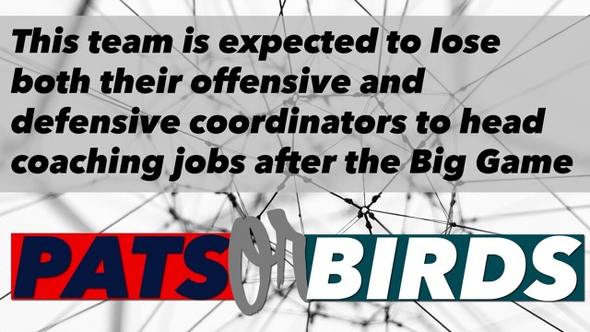 Pats or Birds image number null