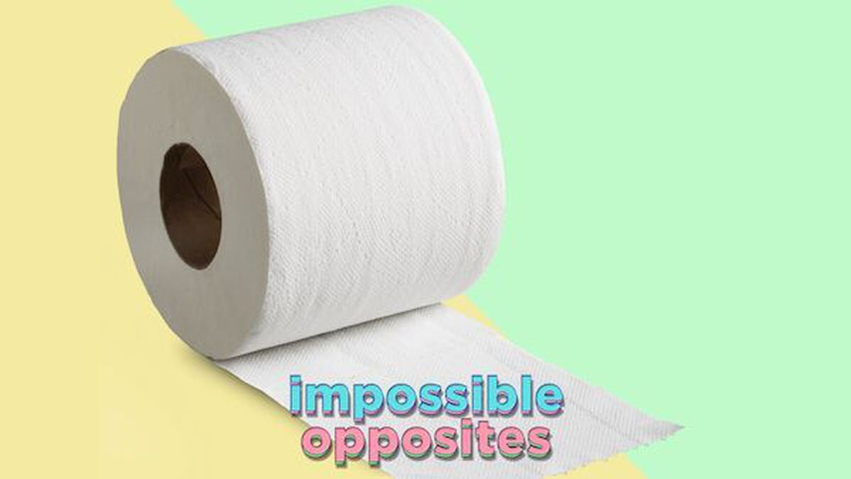 Impossible Opposites image number null