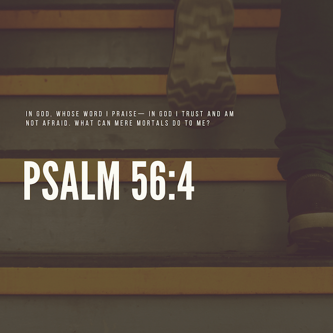 Verse of the Week: Fall Edition image number null