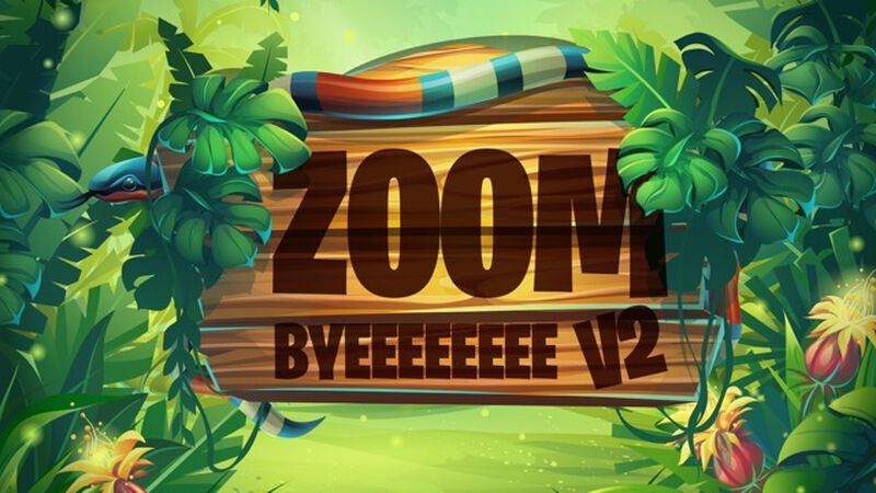 Zoom Byeee 2