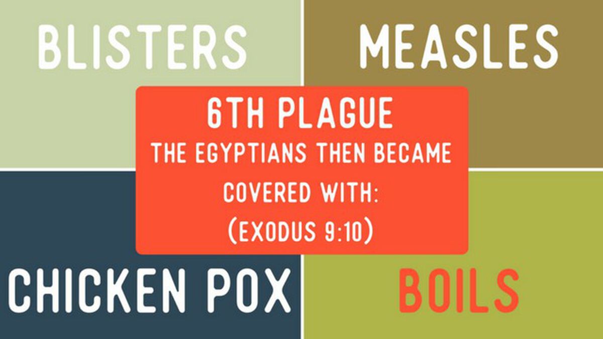 4 Corners: Plagues Edition image number null