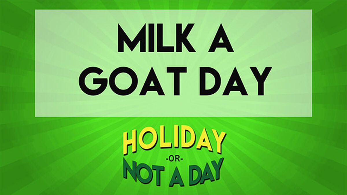 Holiday or Not a Day Bundle image number null