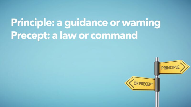 Principle or Precept? (laws or guidelines) 