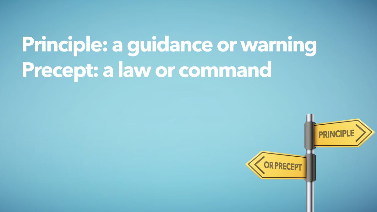 Principle or Precept? (laws or guidelines)  image number null