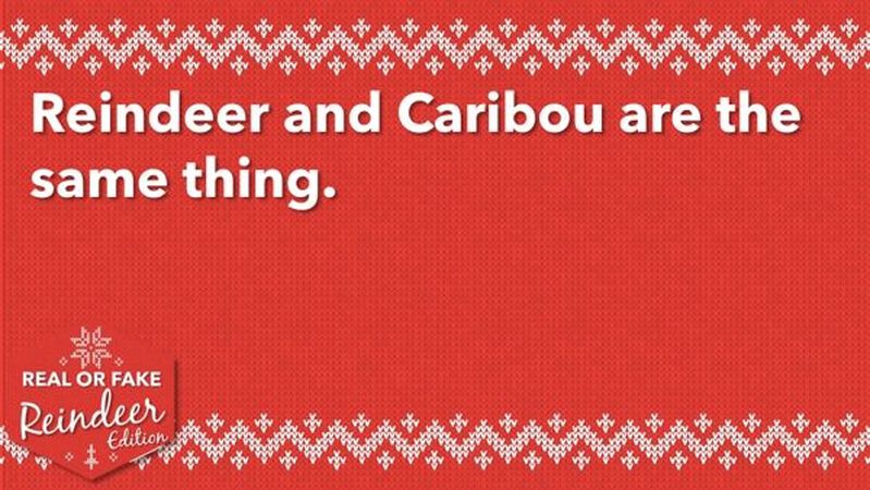 Real or Fake: Reindeer Edition