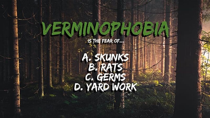 Afraid Of What? "I'm Pretty Sure I Have That!" Edition