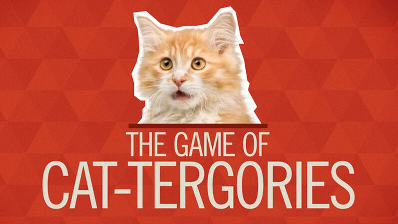 CAT-tergories