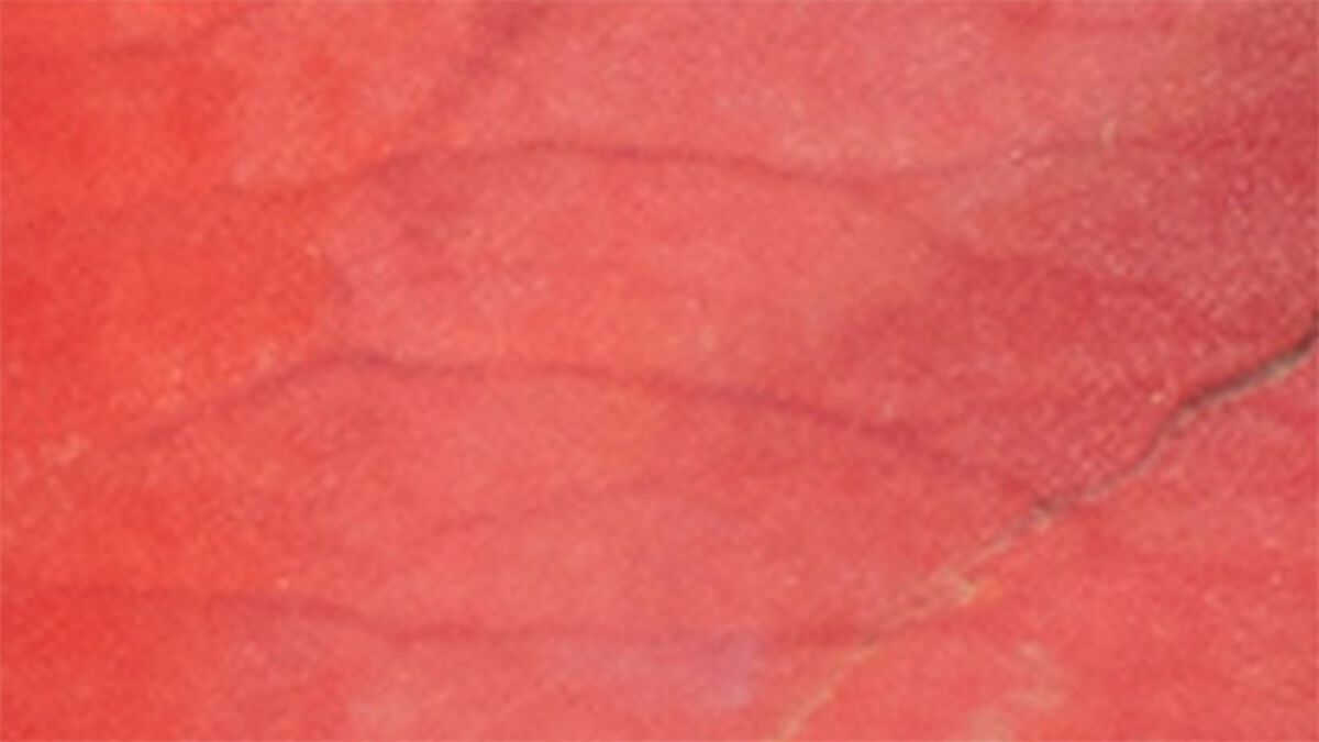 Roses or Noses image number null