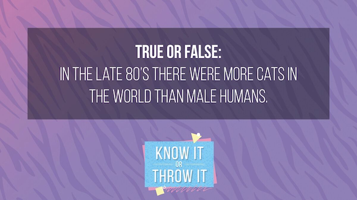 Know it or Throw it: 80's Edition image number null