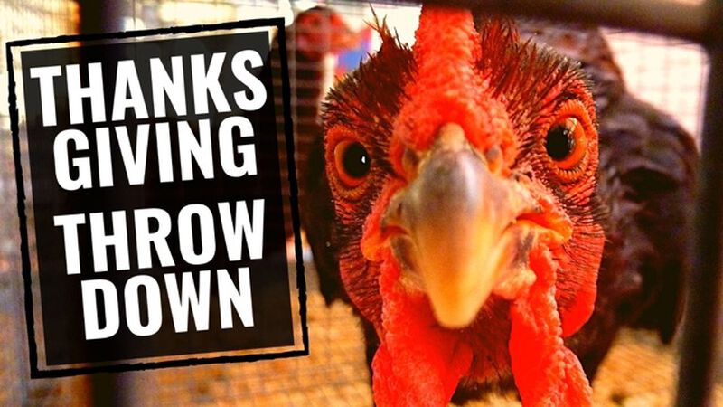 Thanksgiving Throwdown