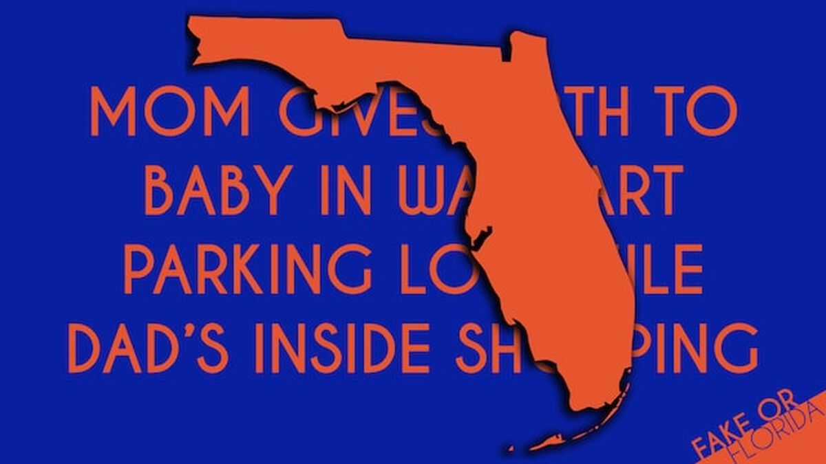 Fake or Florida image number null