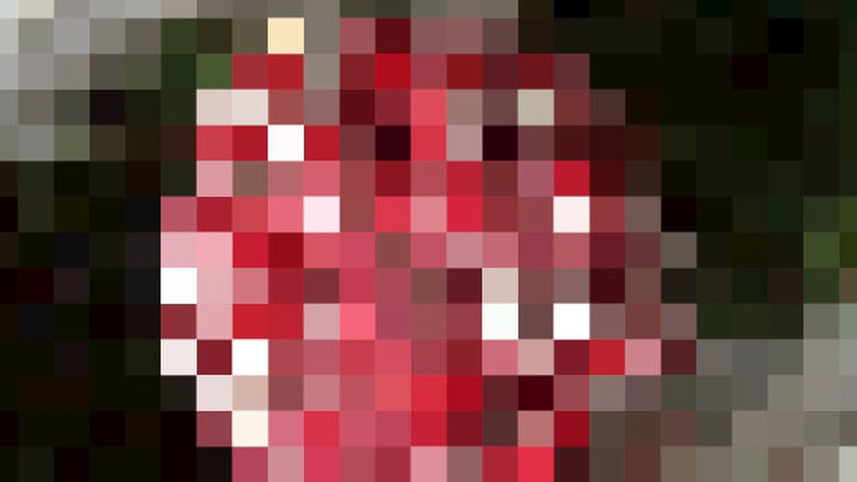 Ornament or Fruitcake image number null