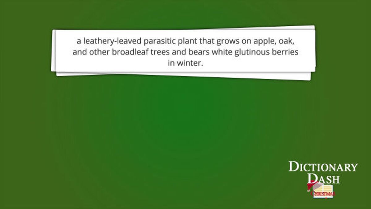 Dictionary Dash – Christmas Edition image number null