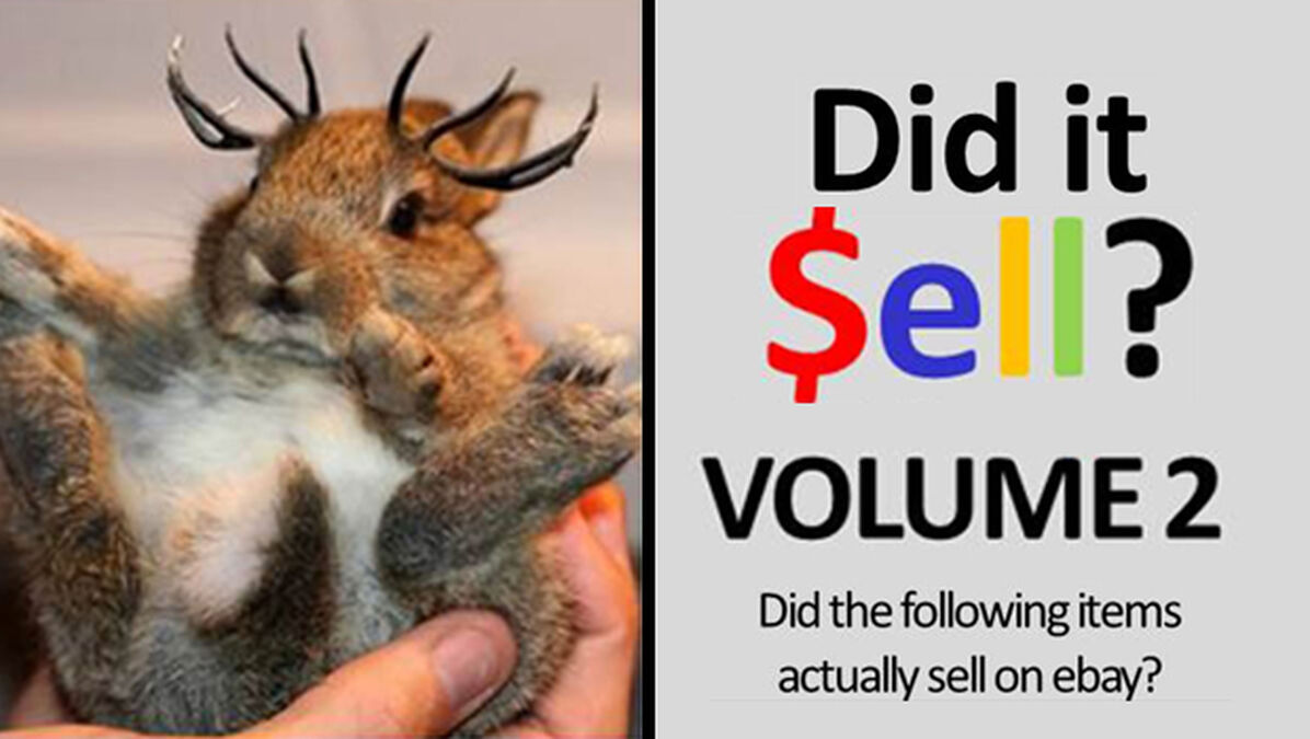 Did It Sell - Volume 2 image number null