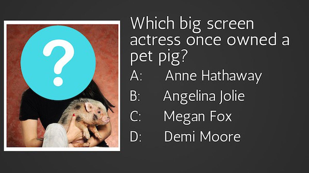 Whose Pet Is This? image number null