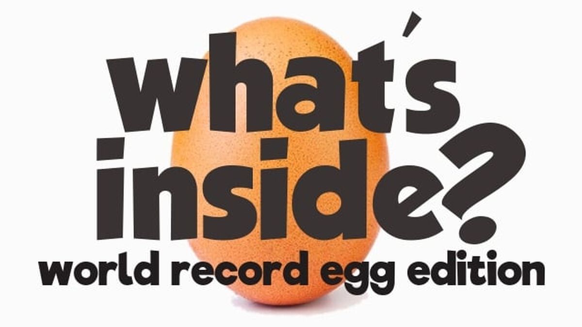 What's Inside? World Record Egg Edition image number null