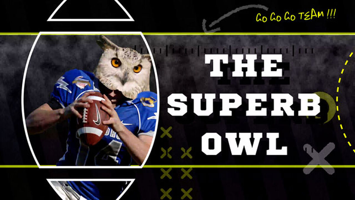 [Image: TheSuperbOwl_preview00.jpg?sw=1200&sh=675&sm=fit]