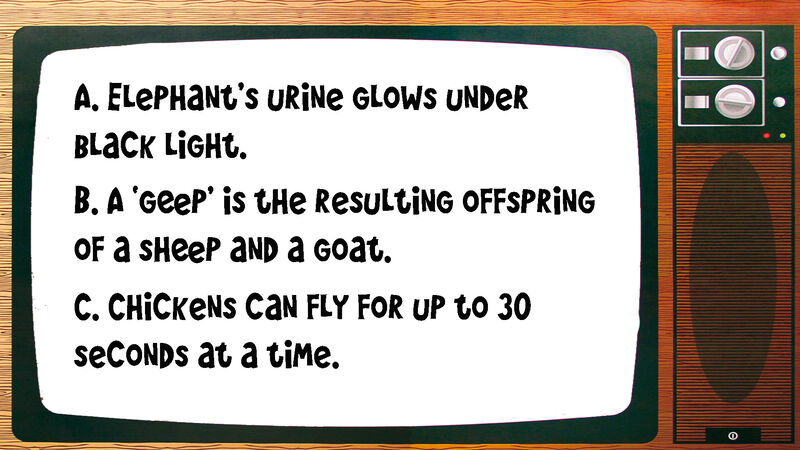 Strange But True Trivia