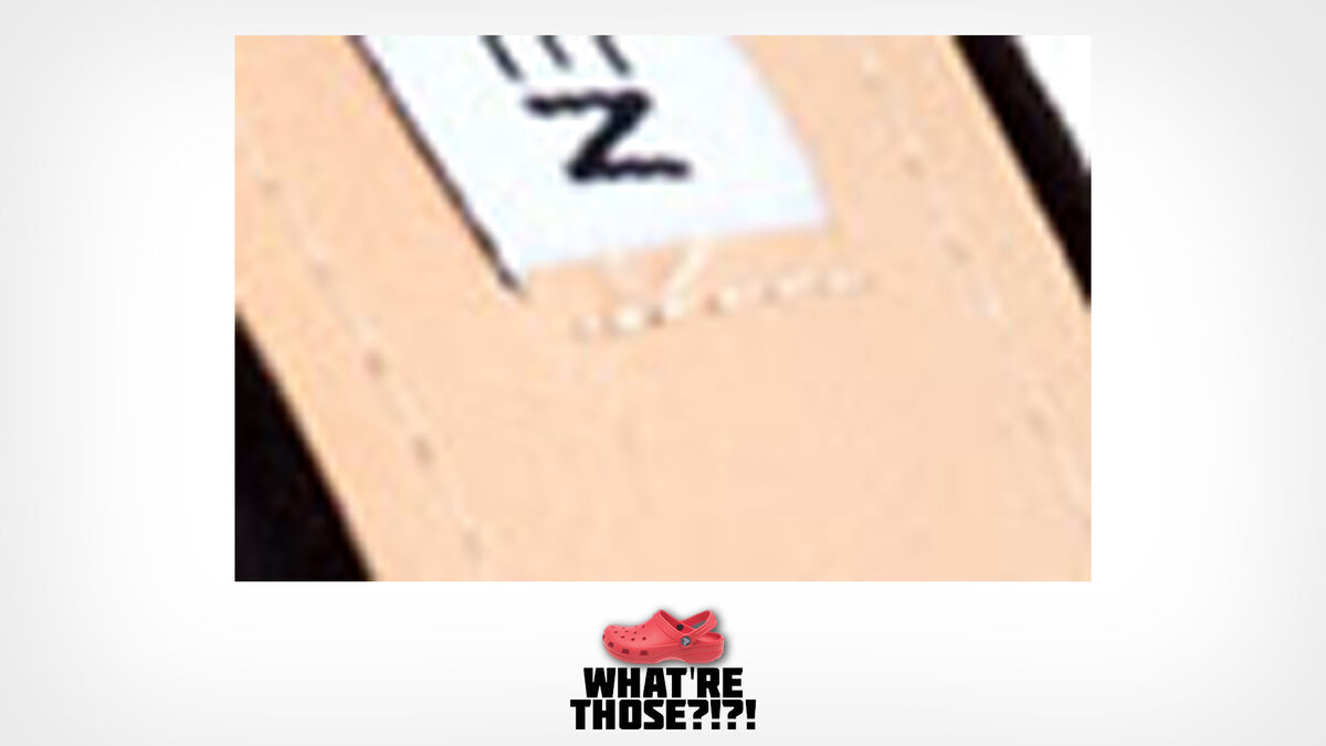 What're Those?! image number null