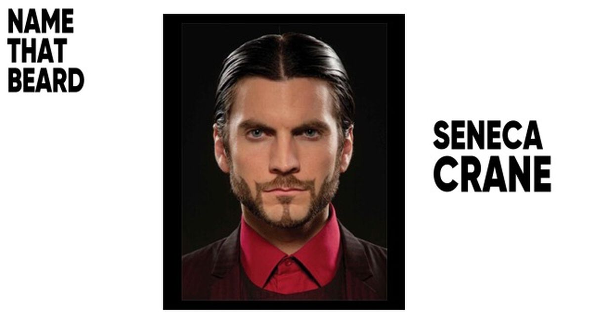Name That Beard Movie TV Edition image number null