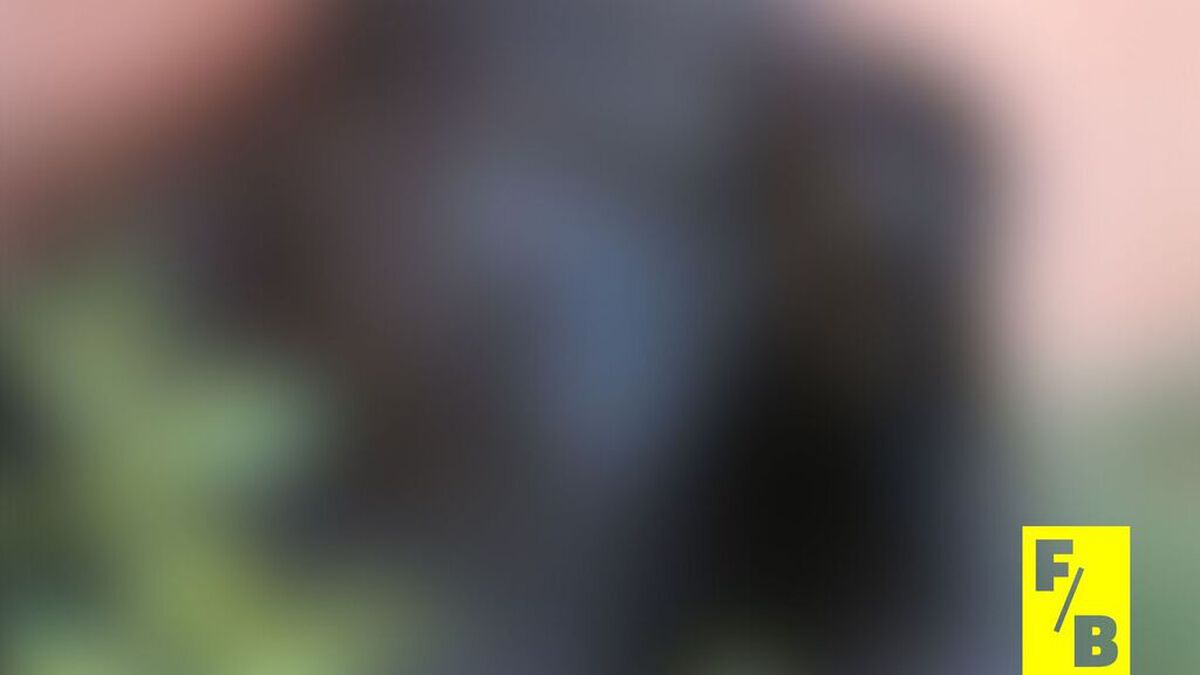 Furry Blurry image number null