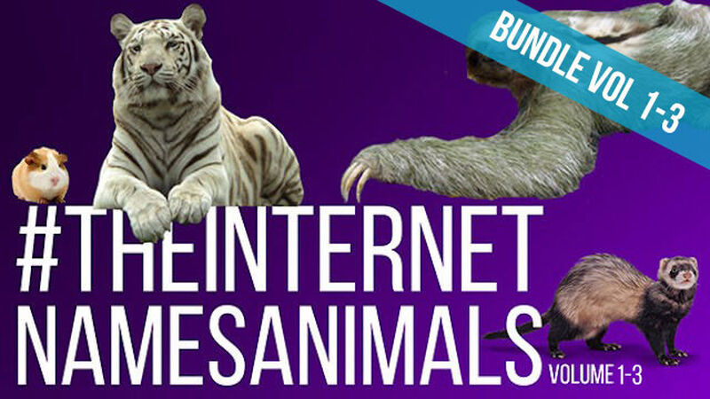 The Internet Names Animals Bundle: Volume 1-3