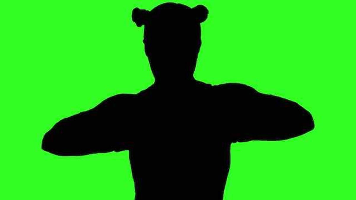 Silhouettes 4 image number null