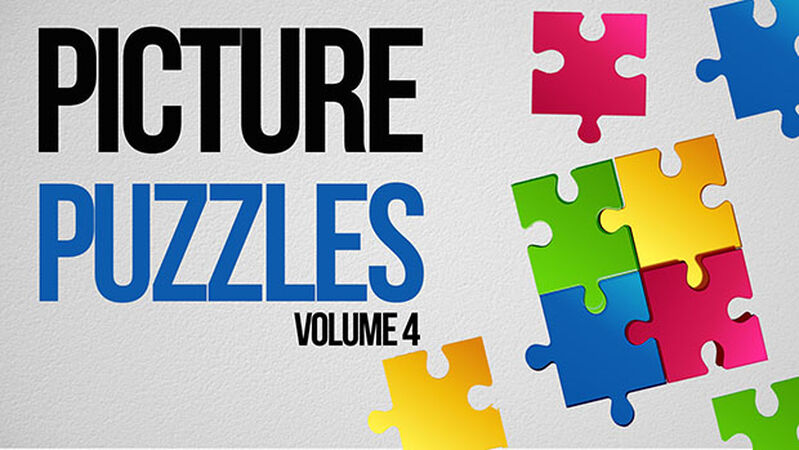 Picture Puzzles - Volume 4