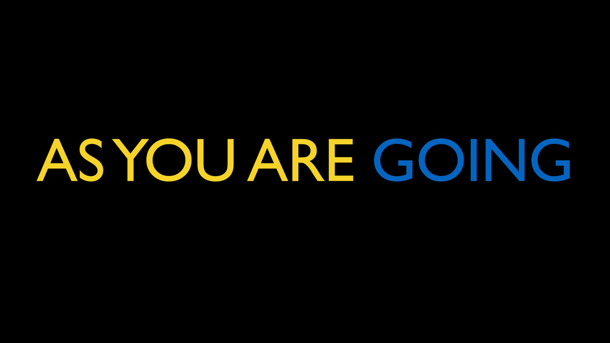 Pokemon: As You Are Going image number null