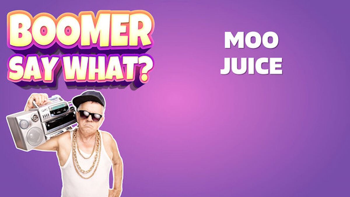 Boomer Say What: Volume 3 image number null