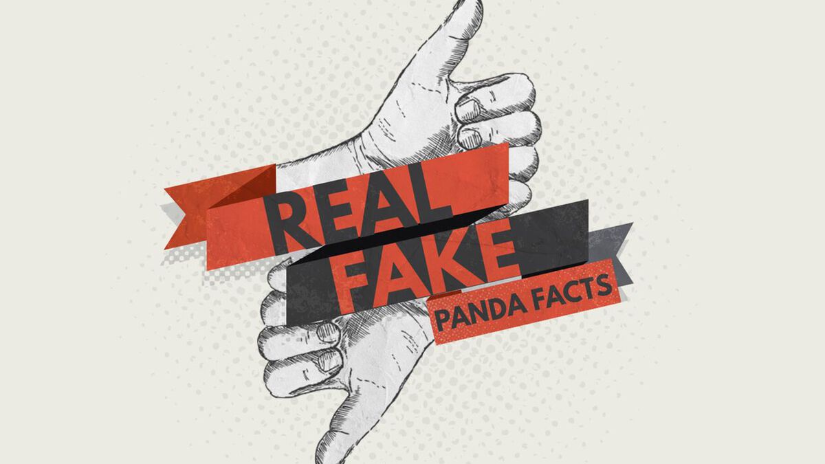 Real or Fake: Panda Facts  image number null