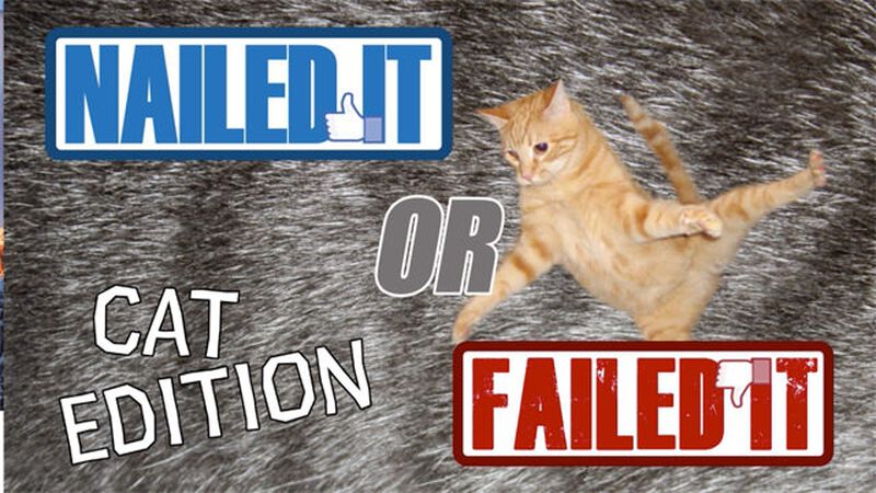 Nailed or Failed: Cat Edition