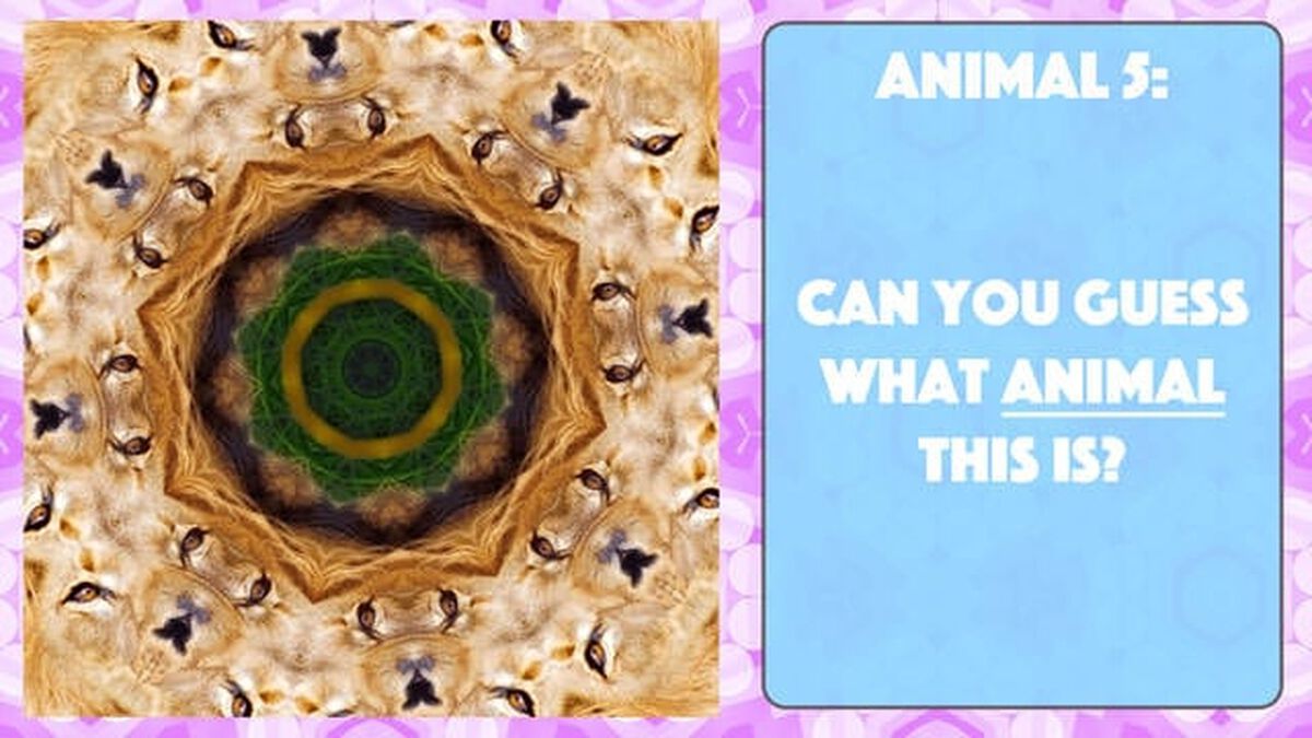 A Kaleidoscopic Quiz Vol. 2 image number null