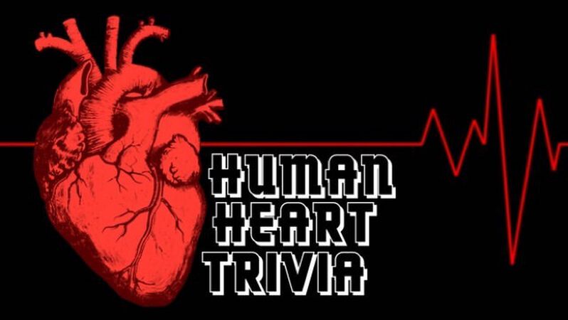 Human Heart Trivia