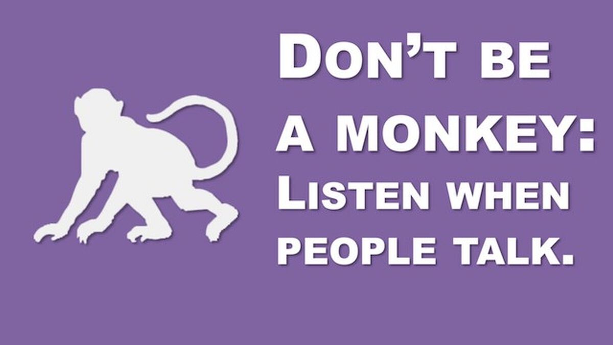 Don't Be a Monkey Rule Videos image number null