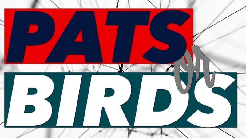 Pats or Birds