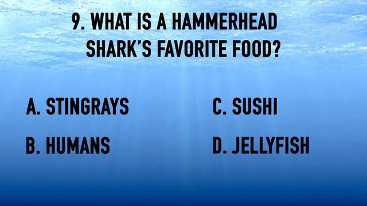 Shark Week Trivia image number null