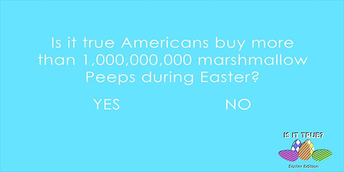 Is it True? Easter Edition image number null